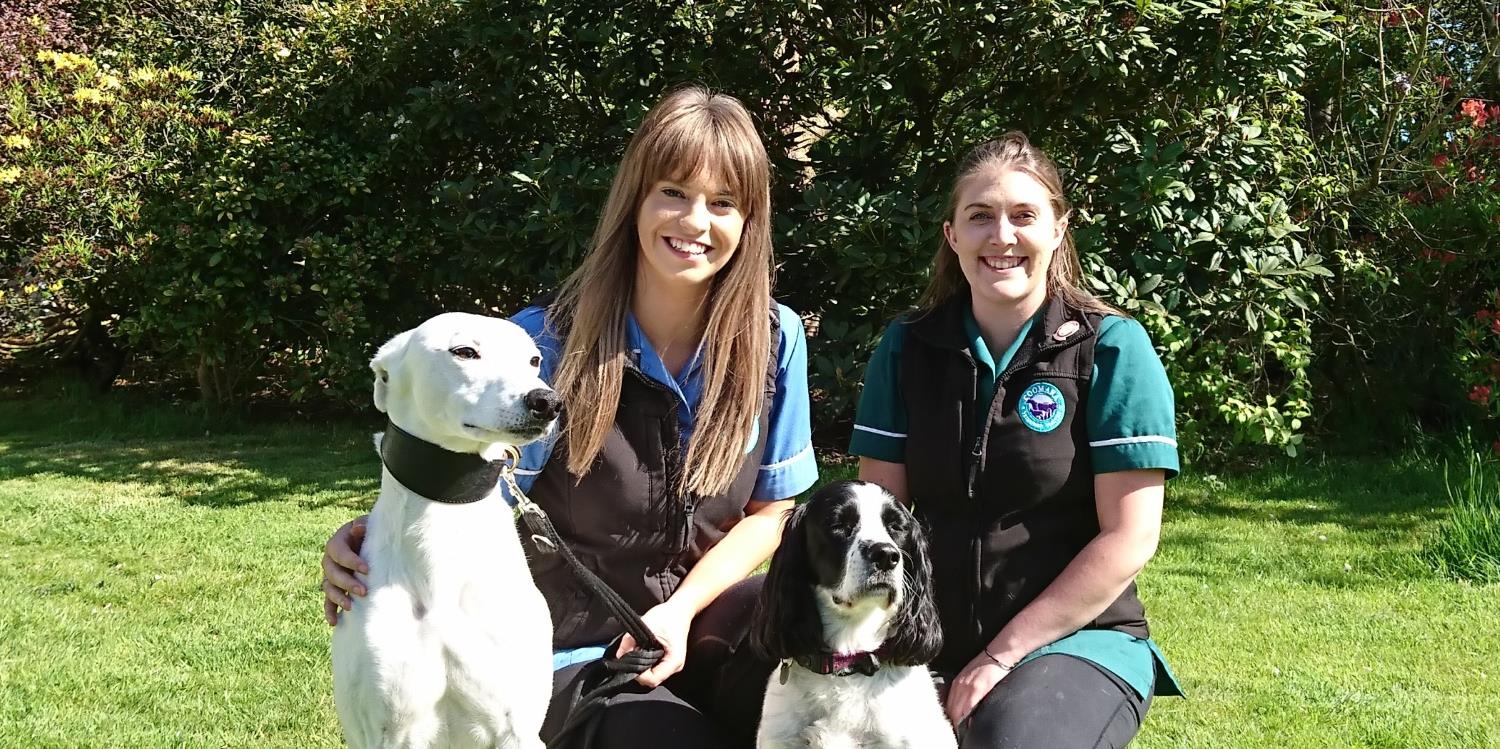 Pet Health Care Plans from Coomara Vets in Carlisle, Cumbria