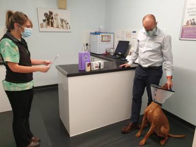 Beyond The Double Doors - What Your Pet Can Expect From A Day At The Vets